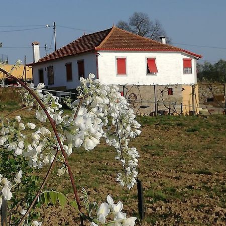 Casa Da Vinha Grande Hotel Poiares Exterior photo