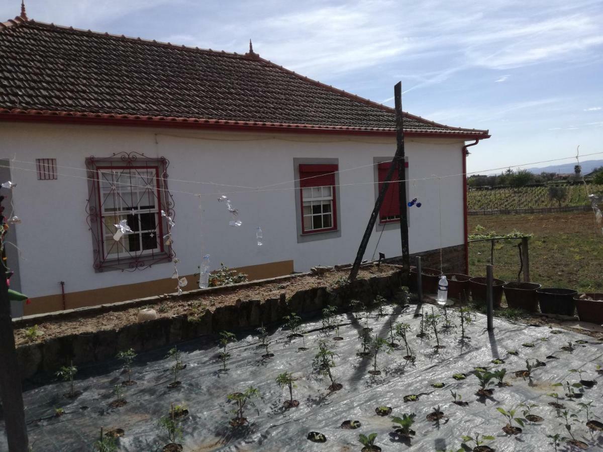 Casa Da Vinha Grande Hotel Poiares Exterior photo