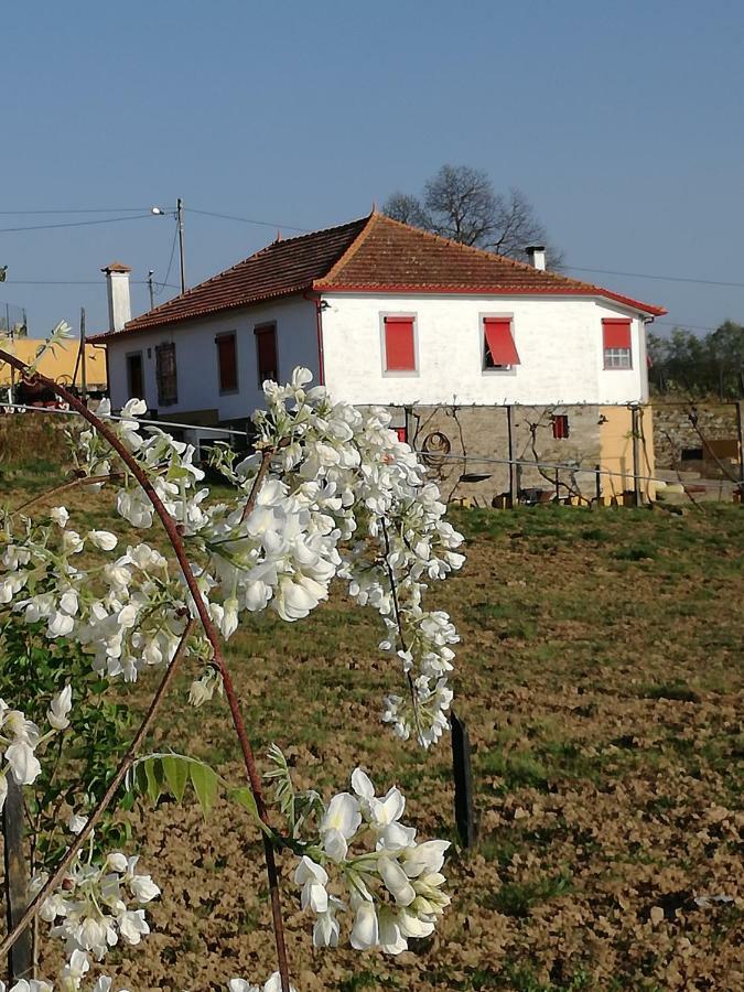 Casa Da Vinha Grande Hotel Poiares Exterior photo